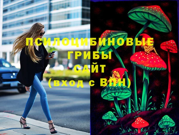 spice Алексин