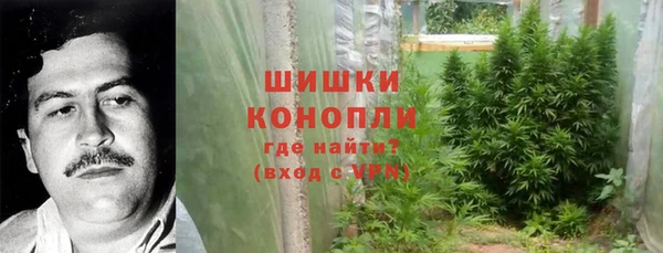 spice Алексин