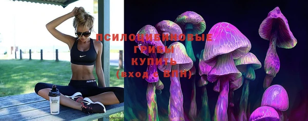 spice Алексин