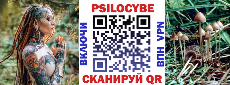Псилоцибиновые грибы Psilocybe Старая Русса