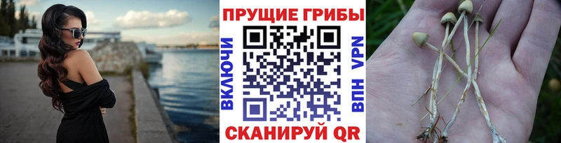 Галлюциногенные грибы ЛСД  Старая Русса 