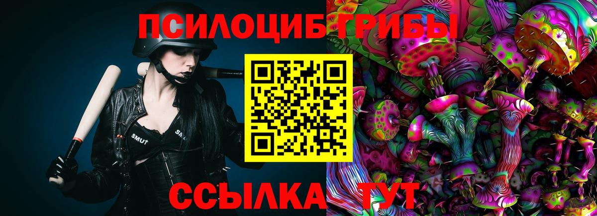 Псилоцибиновые грибы Psilocybe  продажа наркотиков  Старая Русса  Вход с VPN 